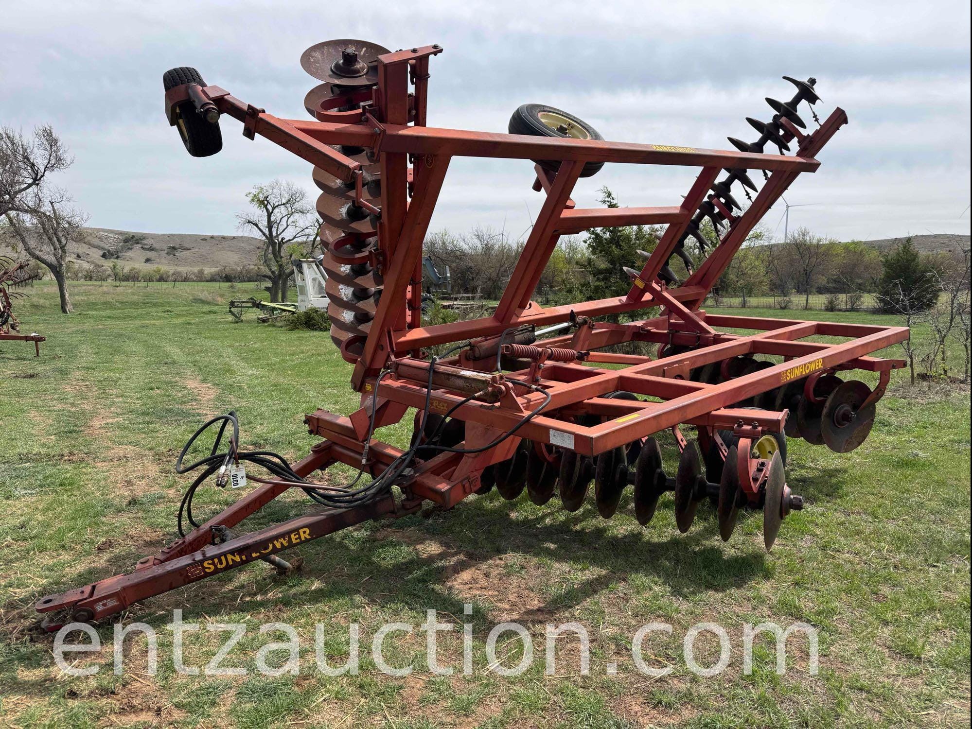 Main image Sunflower 1321