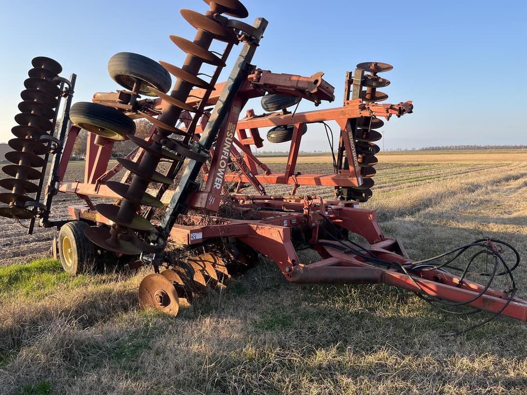 Image of Sunflower 1433-29 Primary image