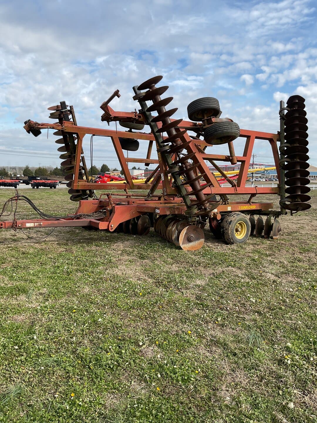 Image of Sunflower 1433-32 Image 1