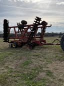 Sunflower 1433-32 Image