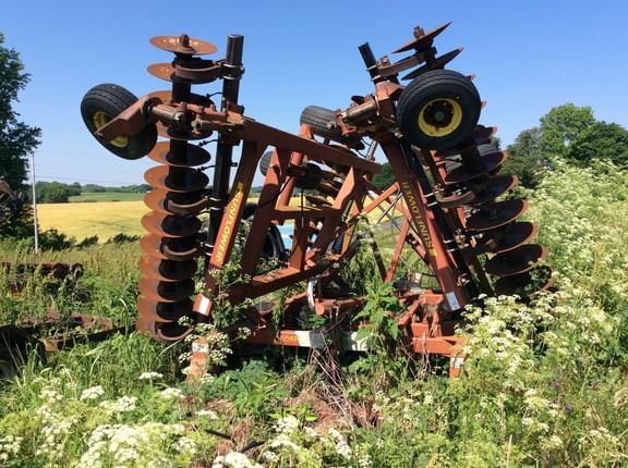 Sunflower 1434-30 Image