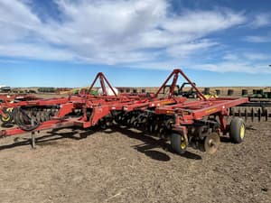 Sunflower 1434-30 Image