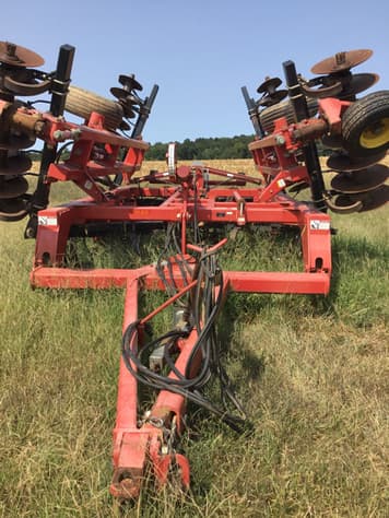 Main image Sunflower 1434