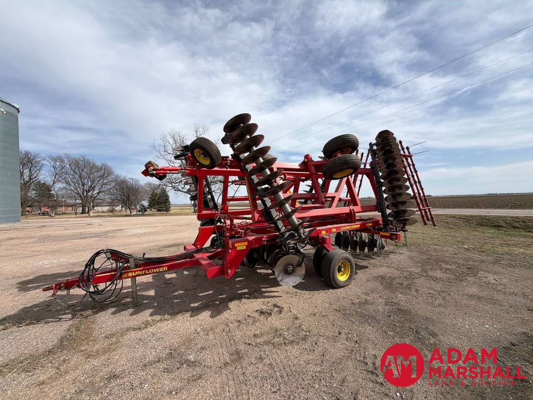 Image of Sunflower 1435 Primary image