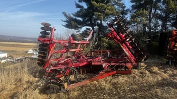 Main image Sunflower 1444