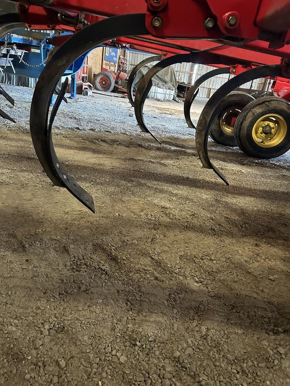 Main image Sunflower 4213