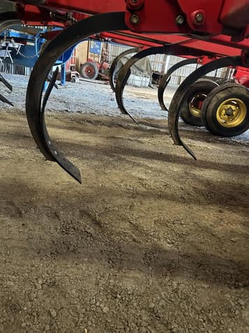 Main image Sunflower 4213