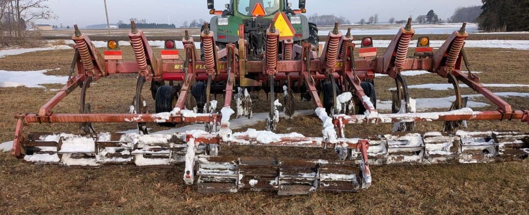 Image of Sunflower 4213 Image 1