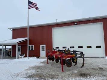 Main image Sunflower 4710