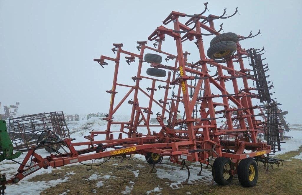 Main image Sunflower 5033