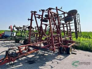 Sunflower 5034 Image