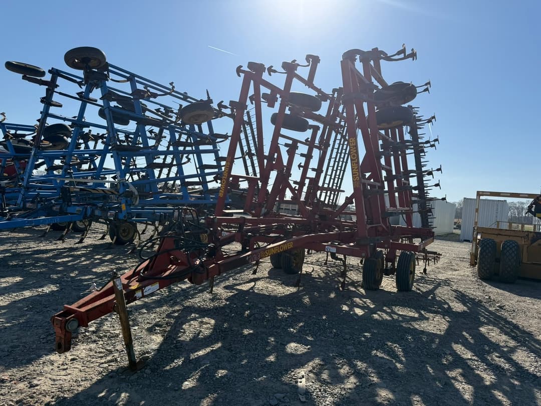 Image of Sunflower 5034 Primary image