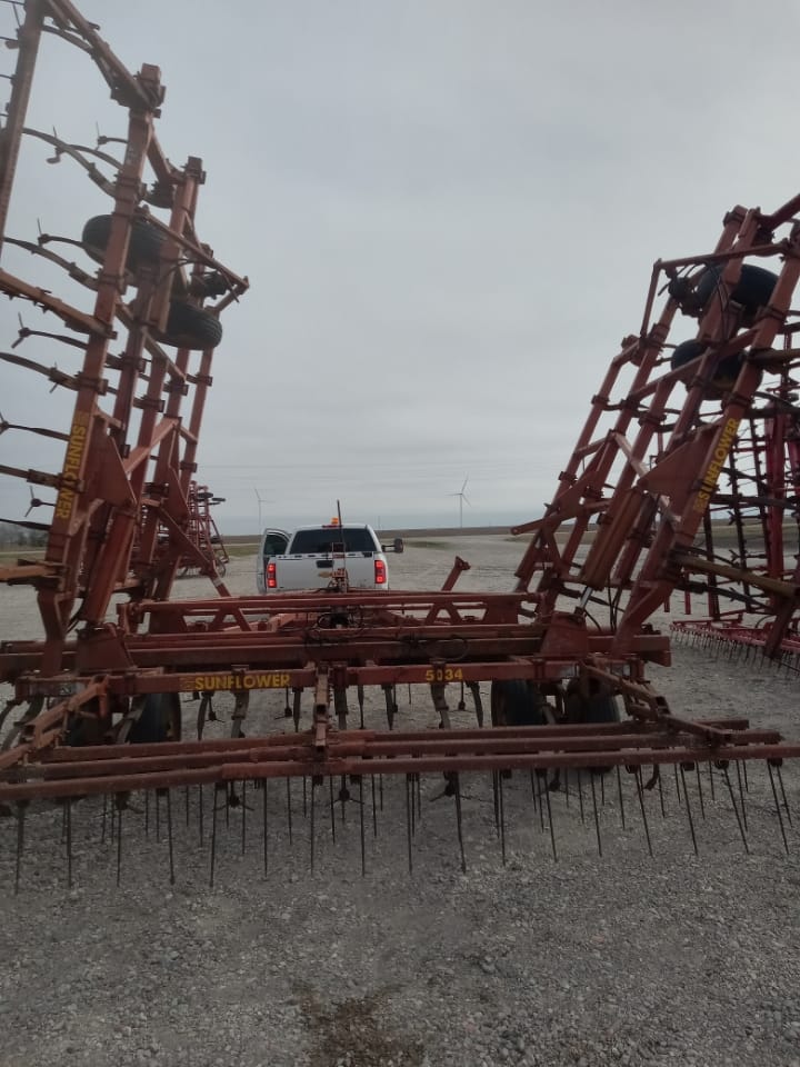 Main image Sunflower 5034-37