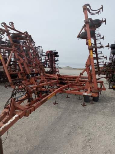 Main image Sunflower 5034-37