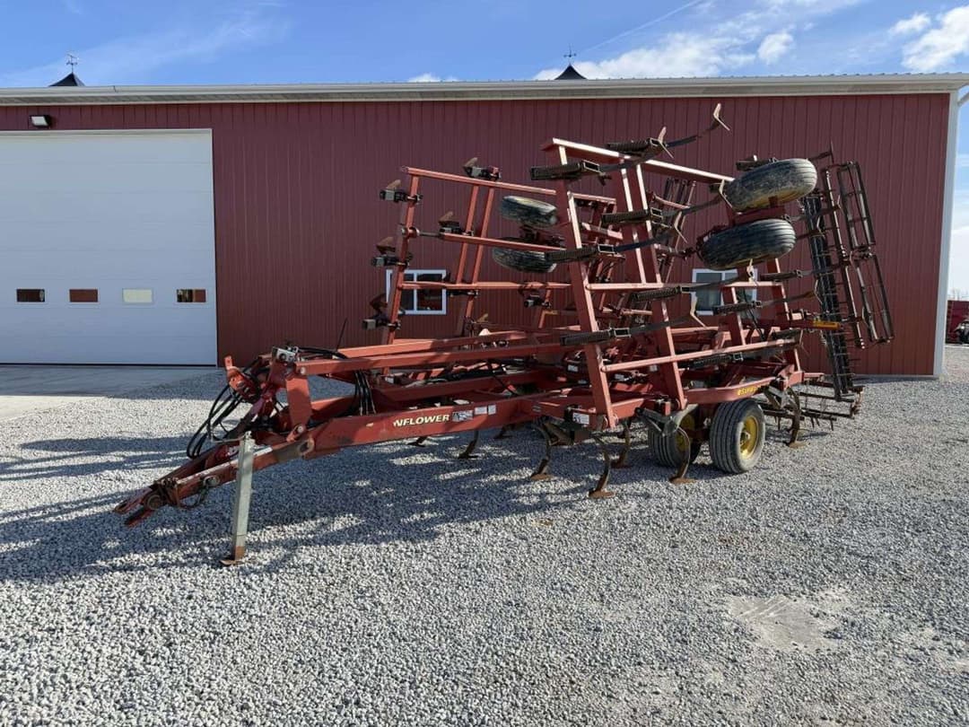 Image of Sunflower 5035 Primary image