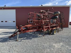 Sunflower 5035 Image