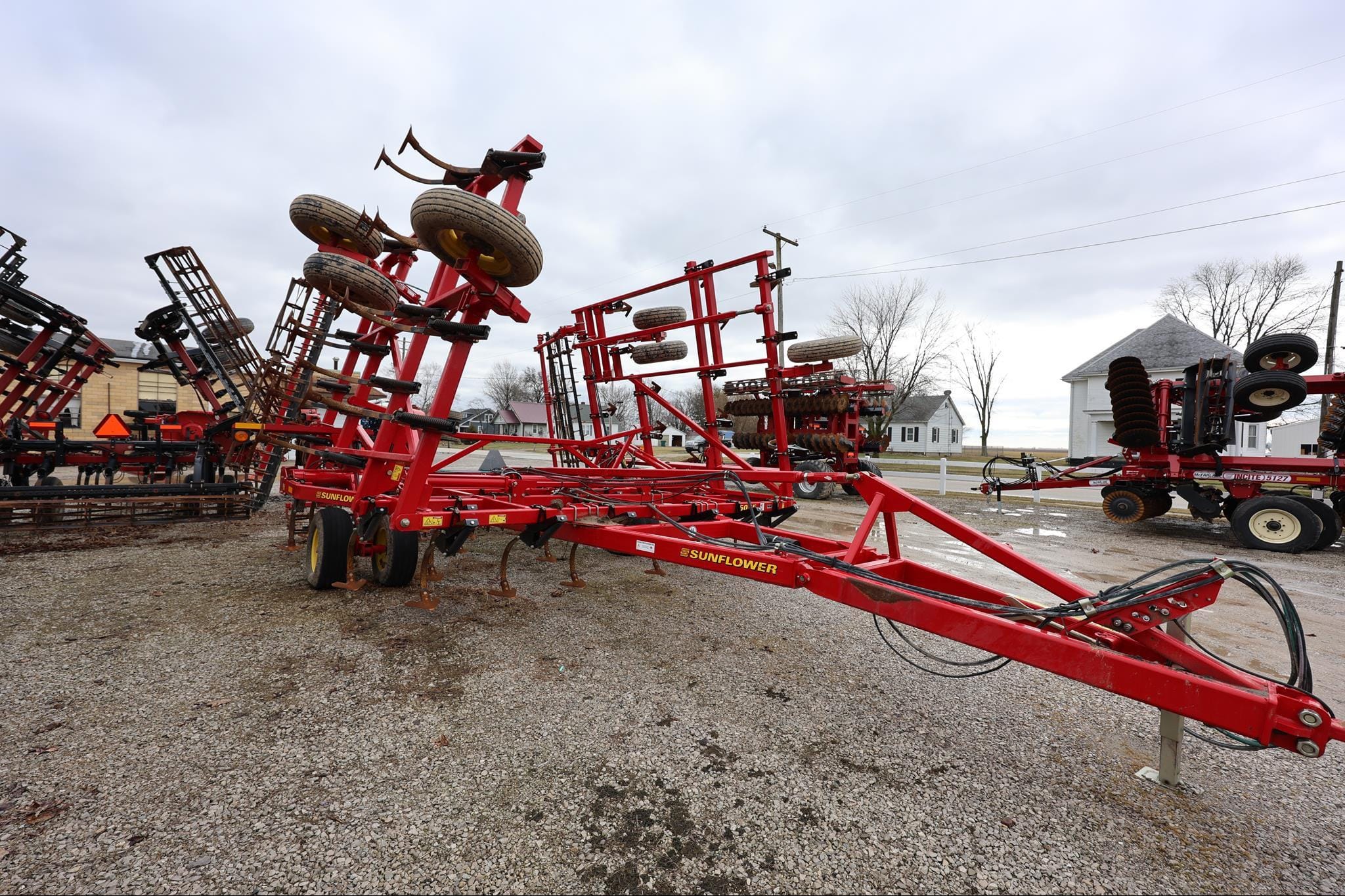 Main image Sunflower 5035-30