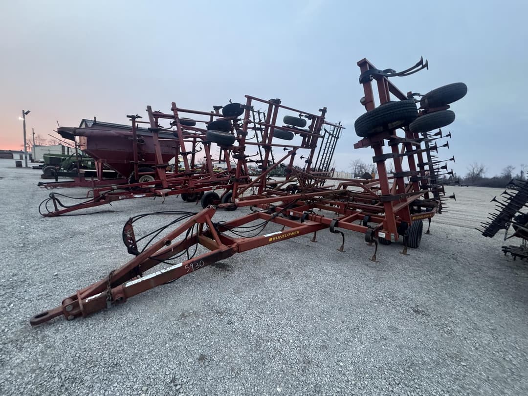 Image of Sunflower 5035-32 Primary image