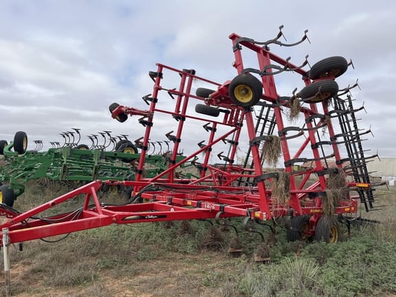 Main image Sunflower 5035