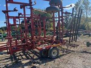 Sunflower 5054 Image