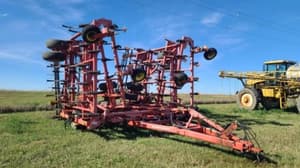 Sunflower 5055 Image