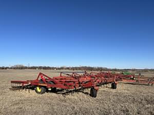 Sunflower 5055 Image