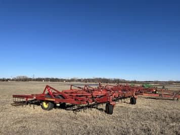 Main image Sunflower 5055