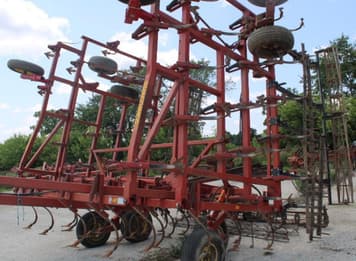 Main image Sunflower 5212