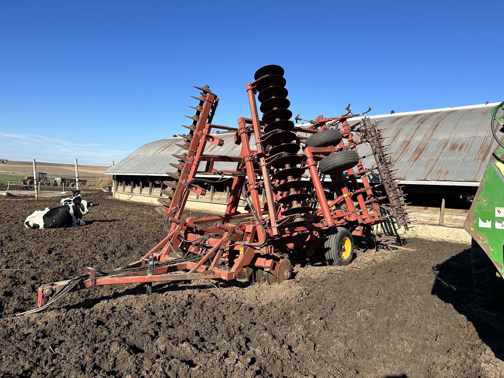 Main image Sunflower 6331