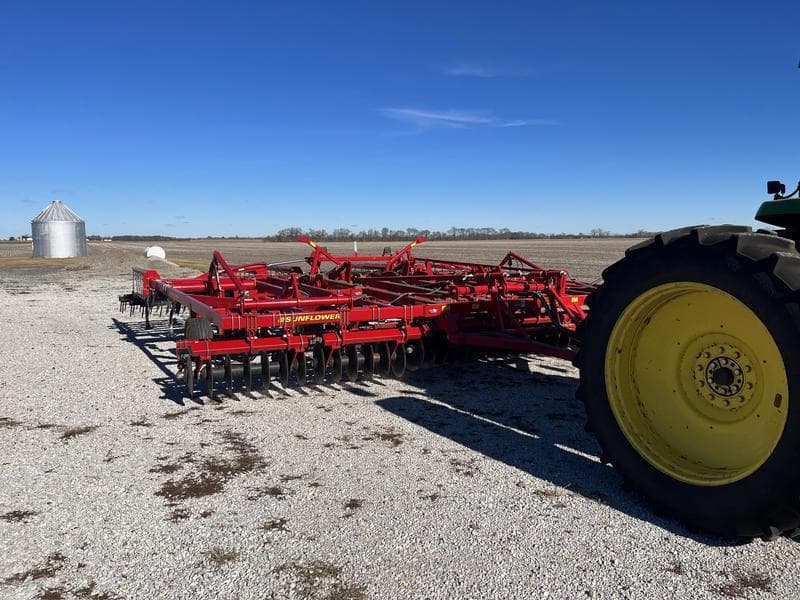 Image of Sunflower 6333 Primary image