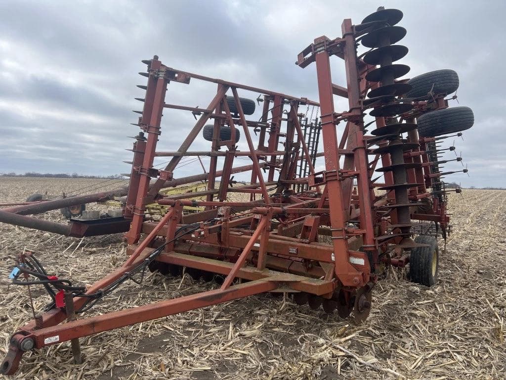 Image of Sunflower 6432-27 Primary image