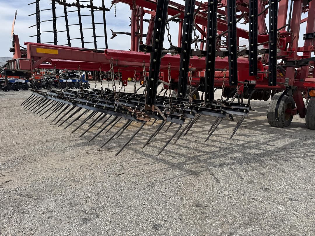 Image of Sunflower 6433-43 Image 0