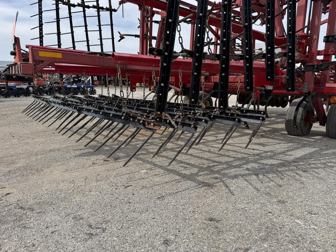 Image of Sunflower 6433-43 Primary Image