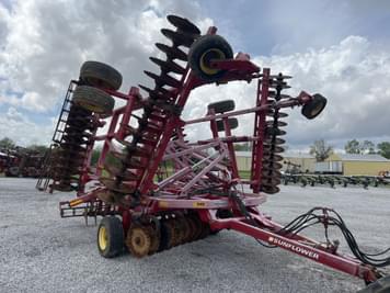 Main image Sunflower 6630