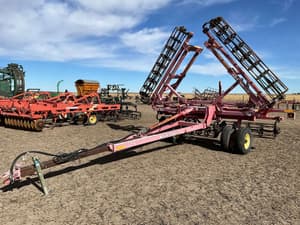 Sunflower 7232 Image