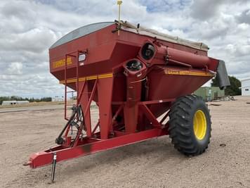 Main image Sunflower 8750