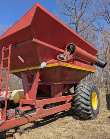 Main image Sunflower 8881