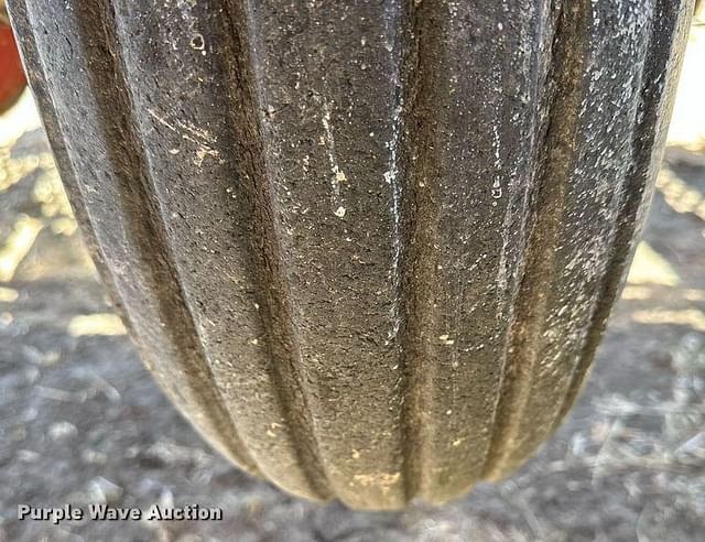 Thumbnail image Sunflower 9432 55