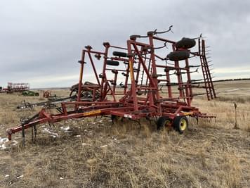 Main image Sunflower 5034-32