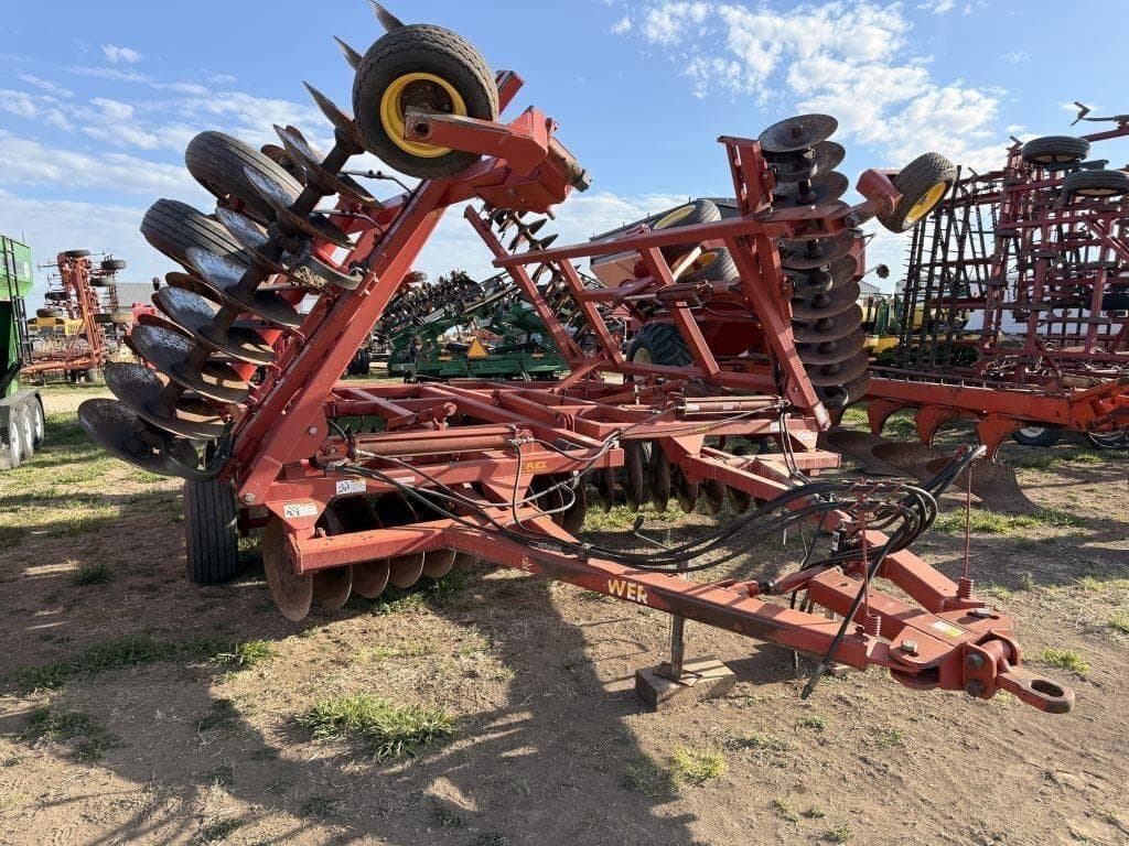 Image of Sunflower 1443-29 Primary image