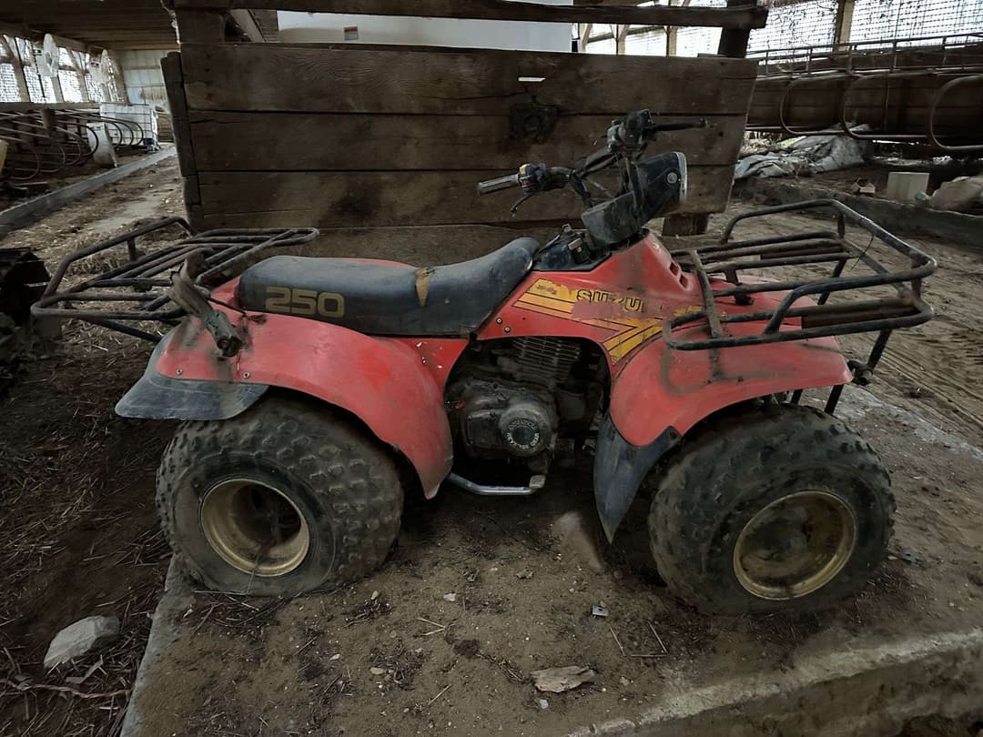 Image of Suzuki Quad Runner 250 Image 1