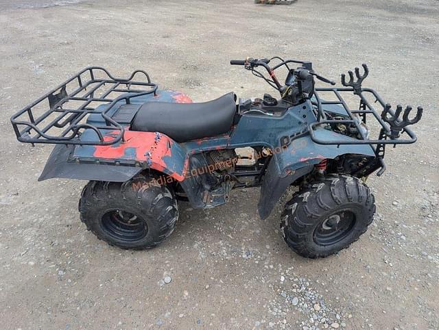 Image of Suzuki Quad Runner 250 equipment image 3