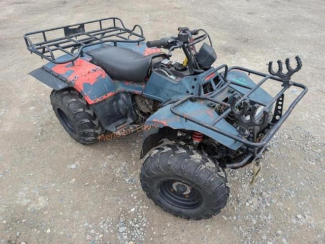 Image of Suzuki Quad Runner 250 equipment image 2