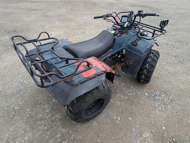 Image of Suzuki Quad Runner 250 equipment image 4