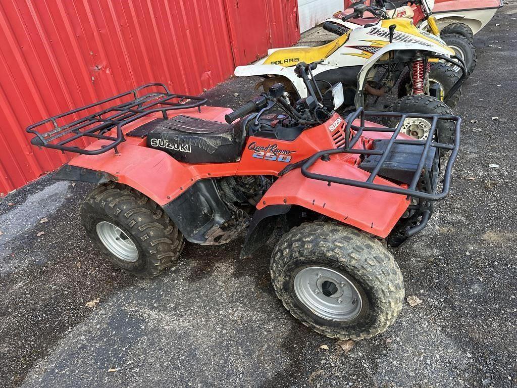 Image of Suzuki Quad Runner 250 Primary image