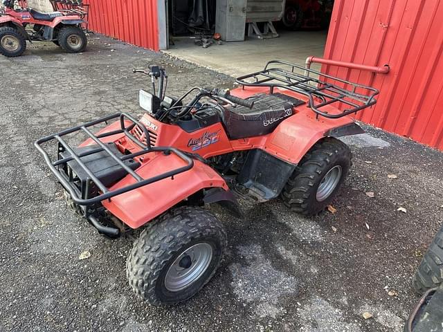 Image of Suzuki Quad Runner 250 equipment image 2