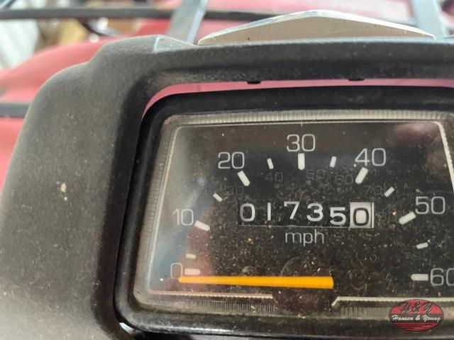 Image of Suzuki Eiger Quad Runner equipment image 4