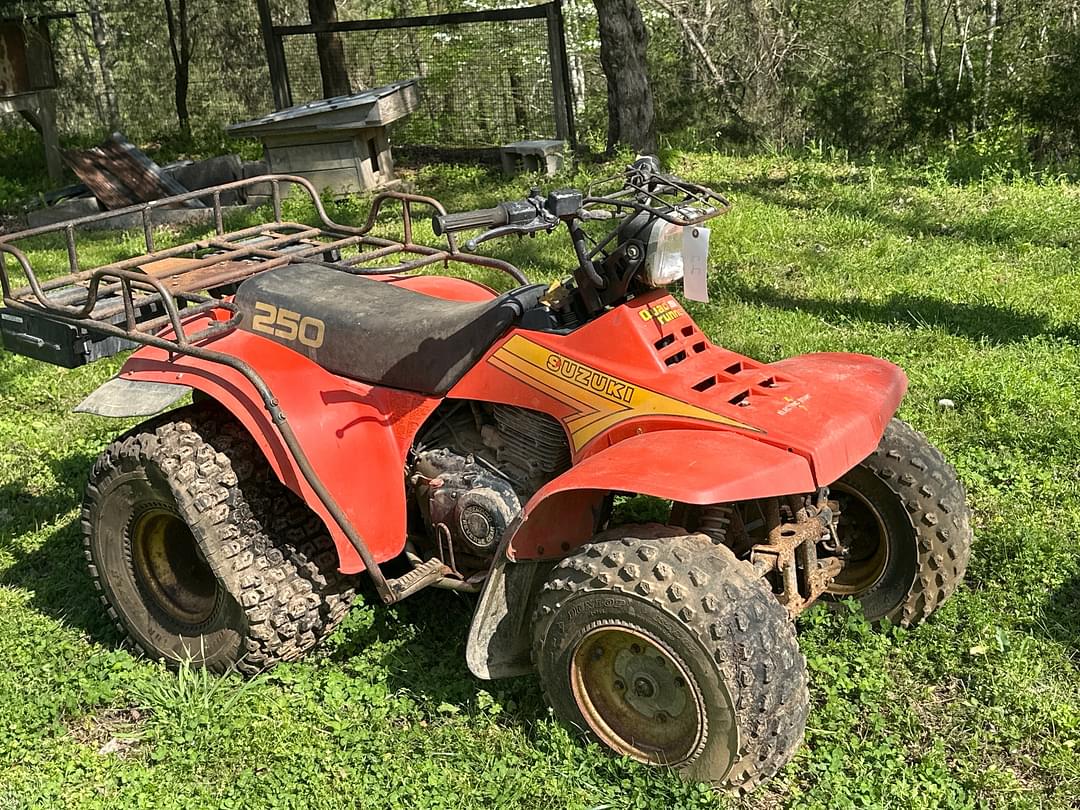 Image of Suzuki Quad Runner 250 Primary image