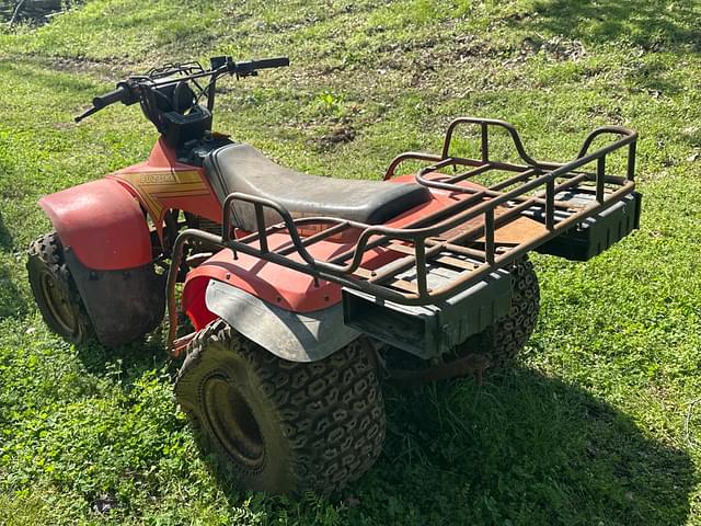 Image of Suzuki Quad Runner 250 equipment image 2