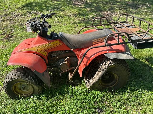 Image of Suzuki Quad Runner 250 equipment image 3